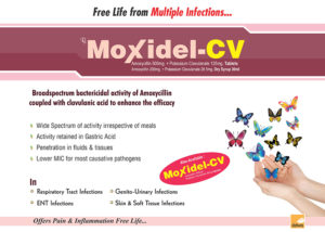 Moxidel CV (Amoxycillin & Potessium Clavulanate for Injection I.P.)